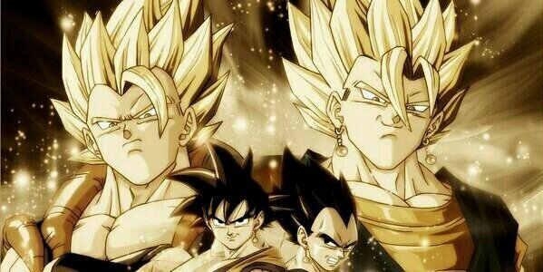 shinba_potter's profile banner image