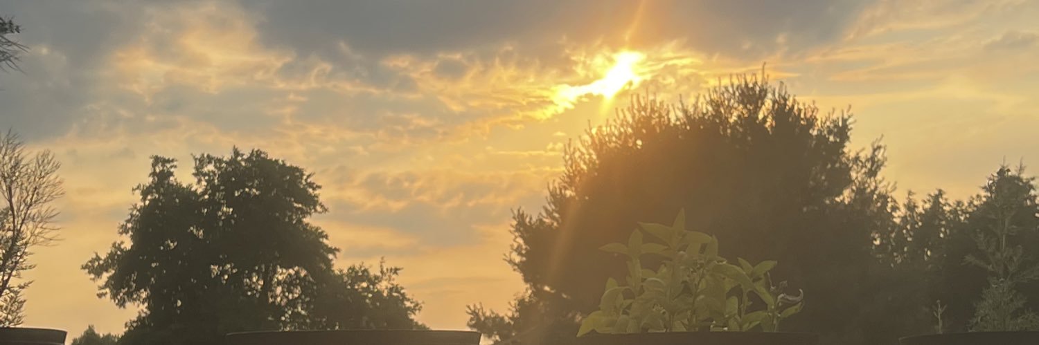 hispinkdiamond's profile banner image
