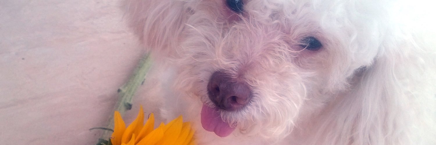 Valeriie10's profile banner image