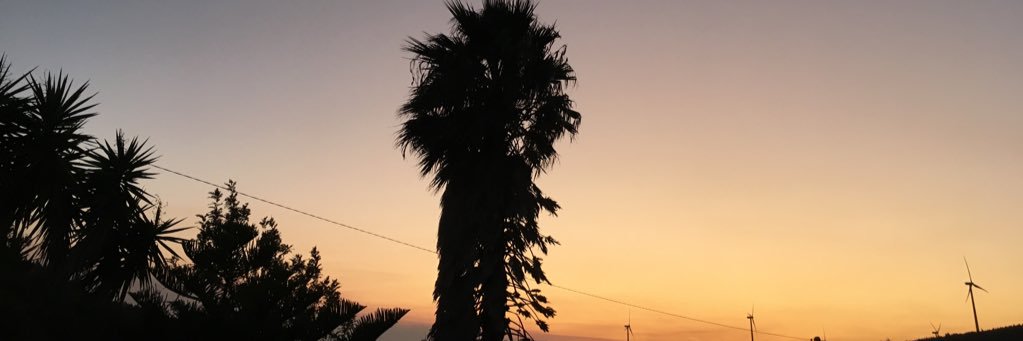 nesconstantino's profile banner image
