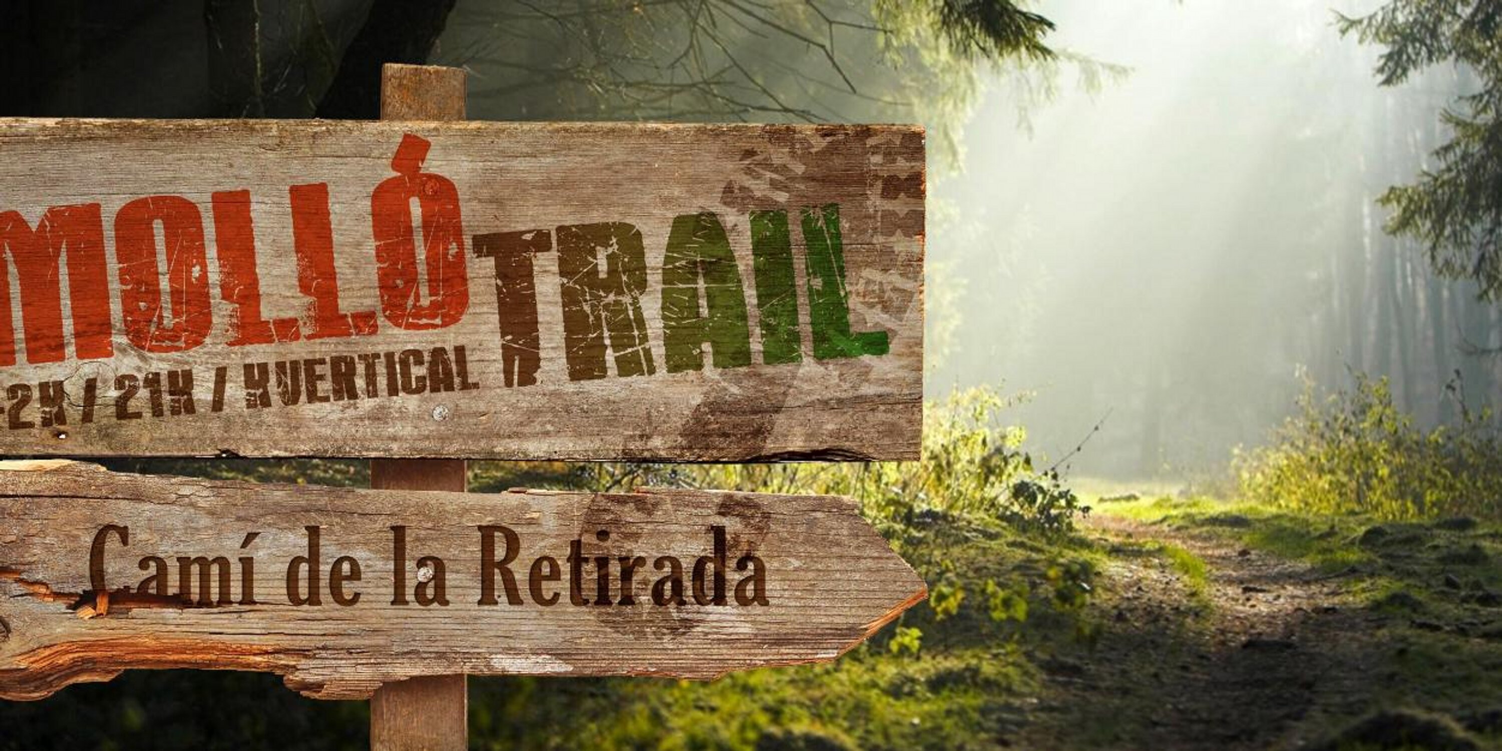 Mollotrail's profile banner image