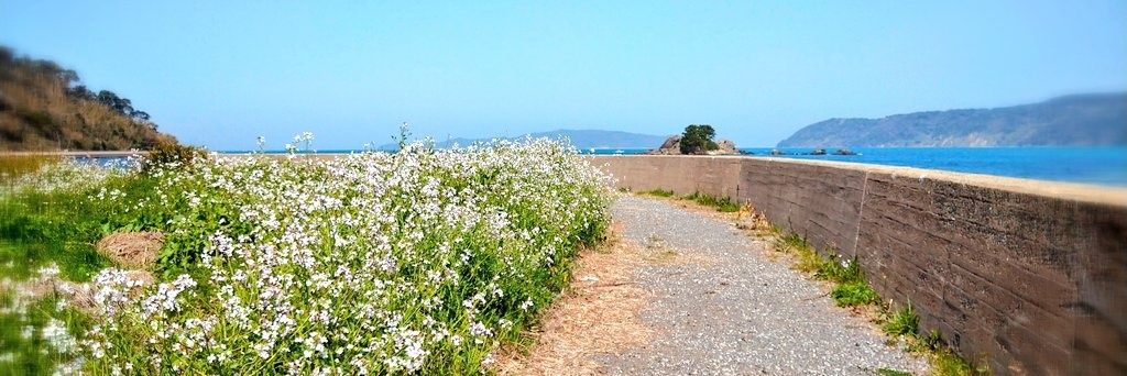 かんの🍉ねこ banner