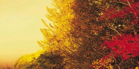 MSlootz's profile banner image