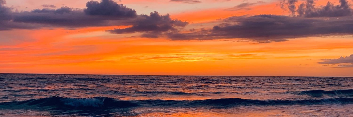 MTerrados's profile banner image