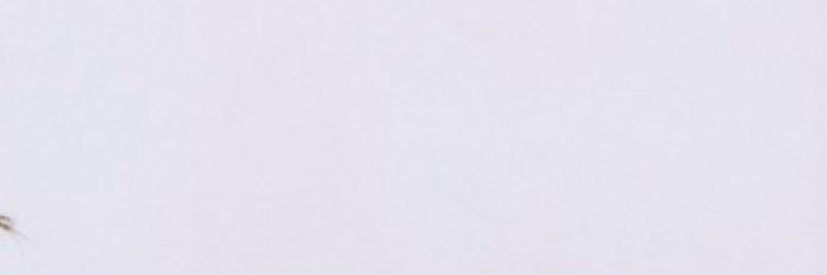 EGOJINSOUL's profile banner image