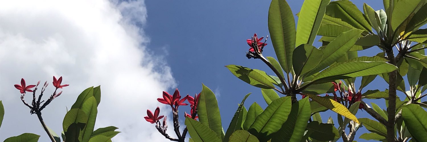 auufaaa's profile banner image