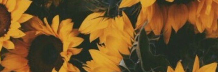 BugAckerman's profile banner image