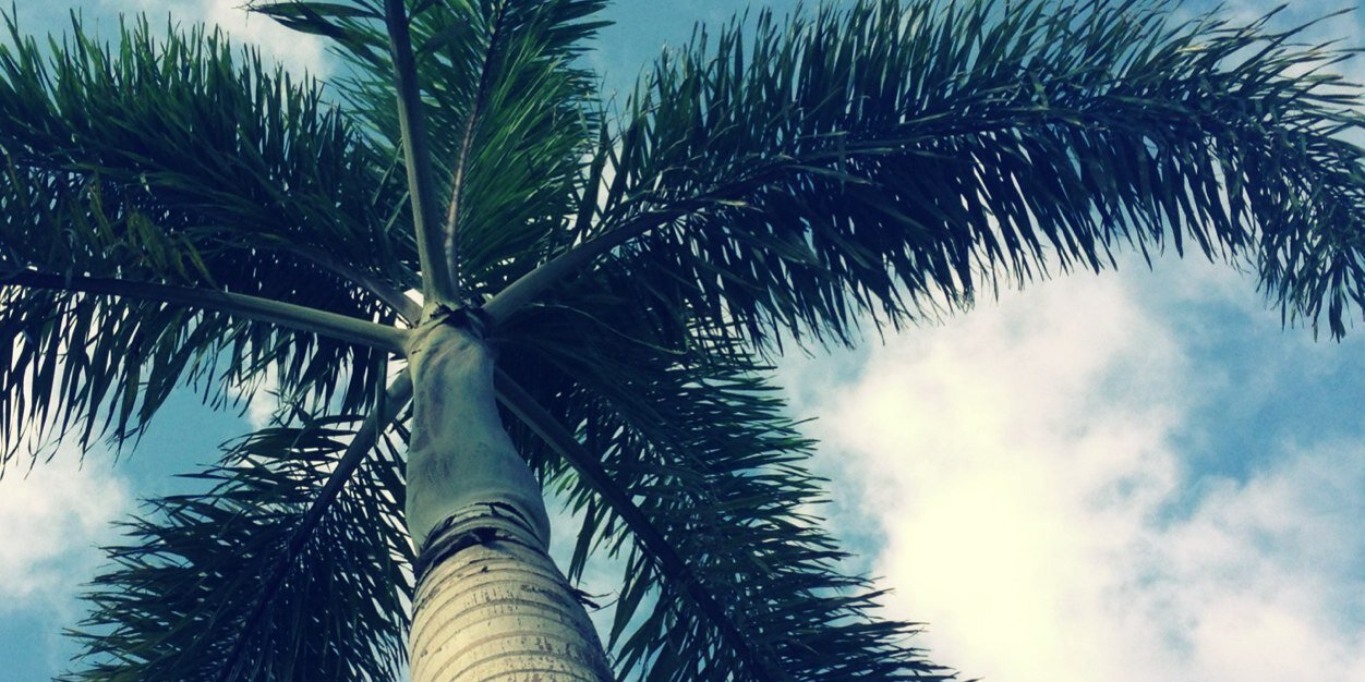 hannahdraplin's profile banner image