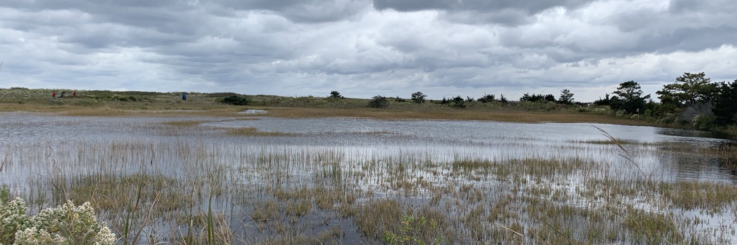 Leslie Talbot banner