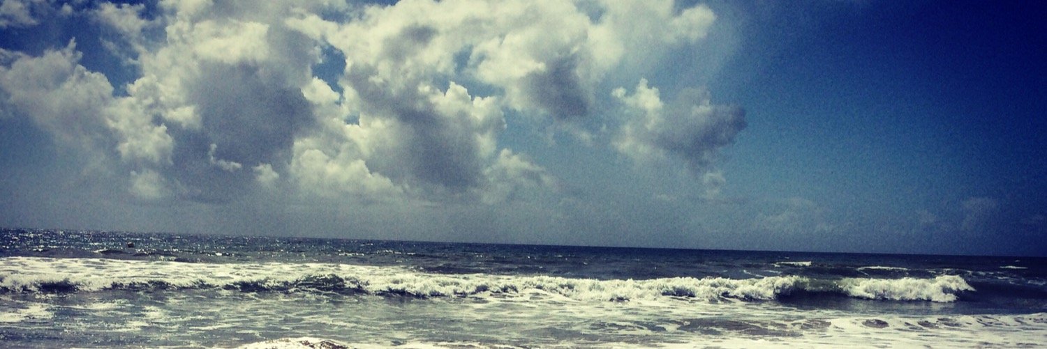 mrsbosco's profile banner image