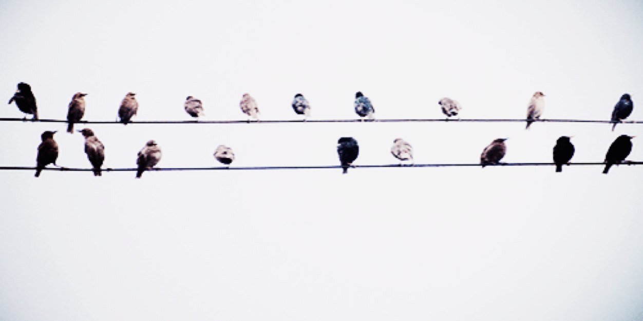 arianabgnerd's profile banner image