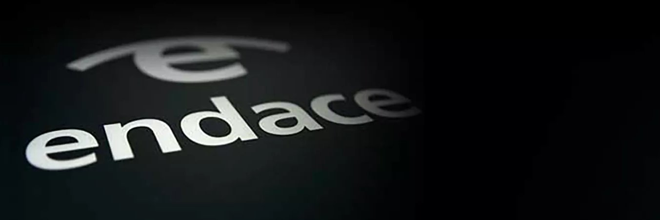 Endace banner