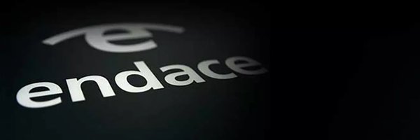 endace Profile Banner