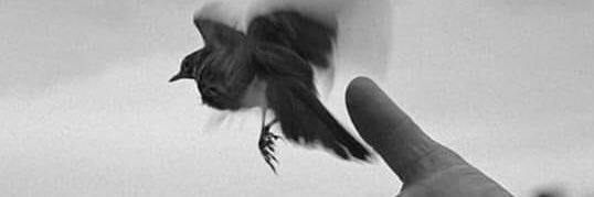 snchezmargallo's profile banner image