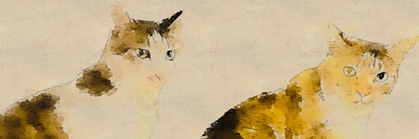 neko_ptx Profile Banner