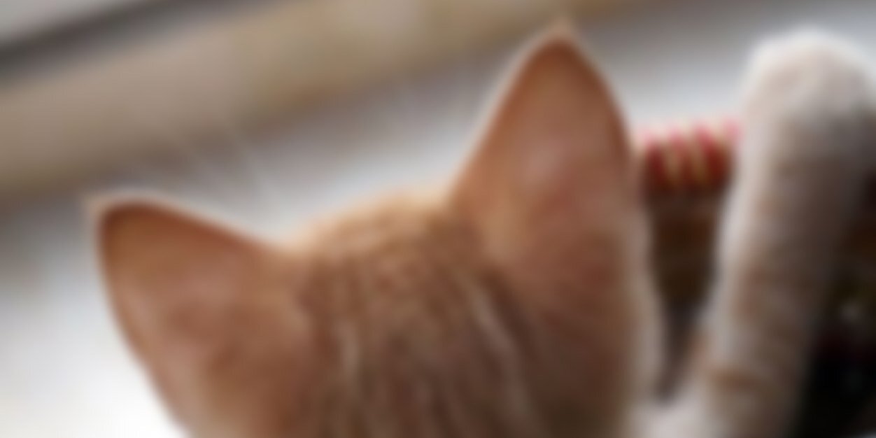 yk_____O2ll's profile banner image