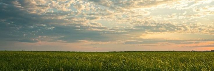 nilmahl's profile banner image