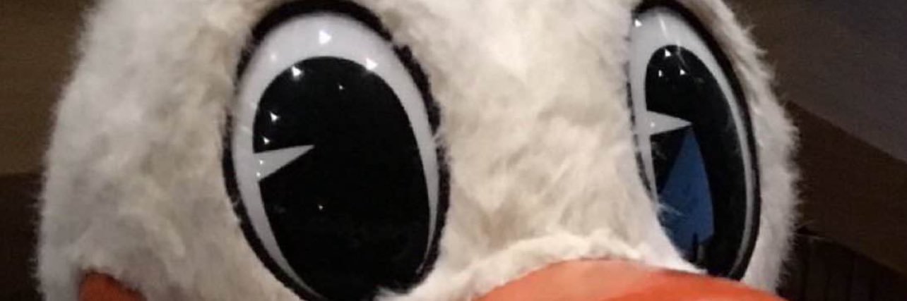 AgentPK32's profile banner image