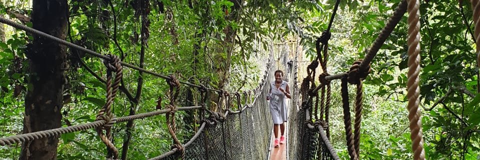 Dr Grace Mwaura banner