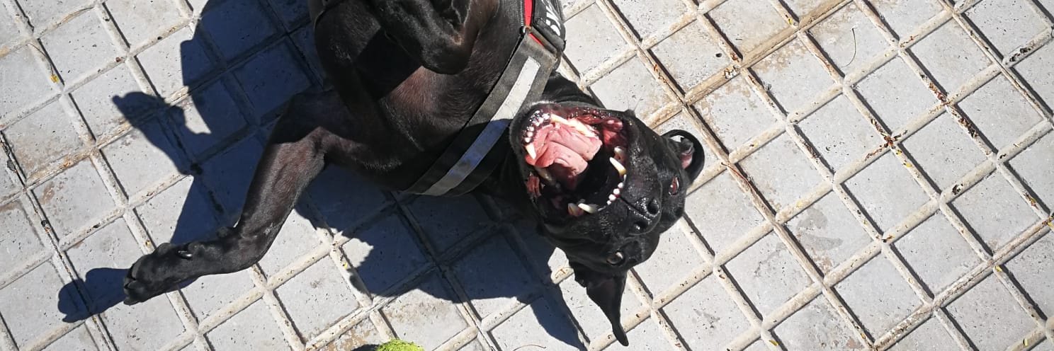 beatrizlrz's profile banner image