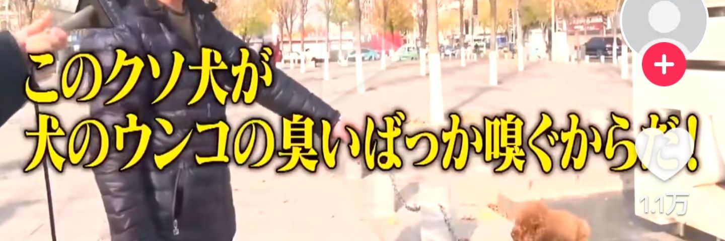 ryouma0904's profile banner image