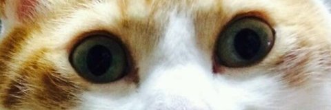 Danbos123's profile banner image