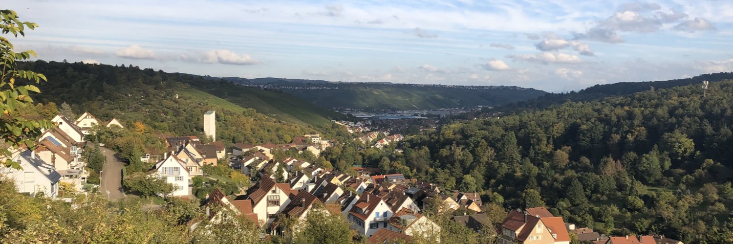 speidelweg's profile banner image