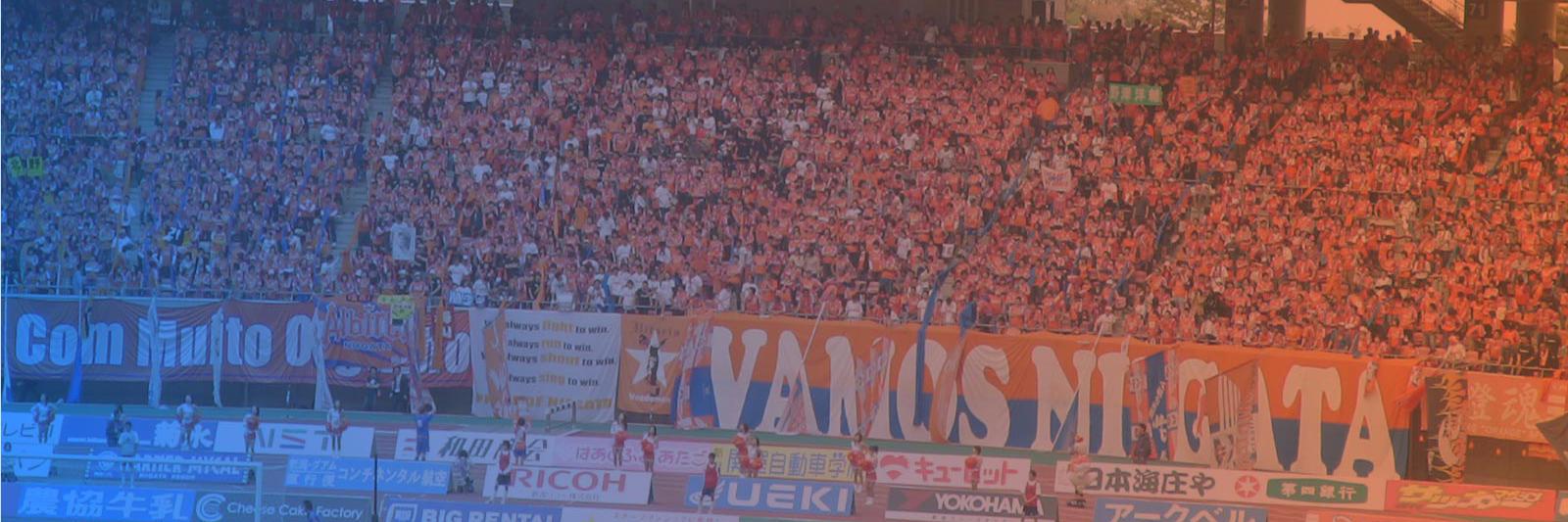 albinews's profile banner image