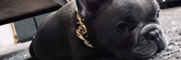 jay_acuna Profile Banner