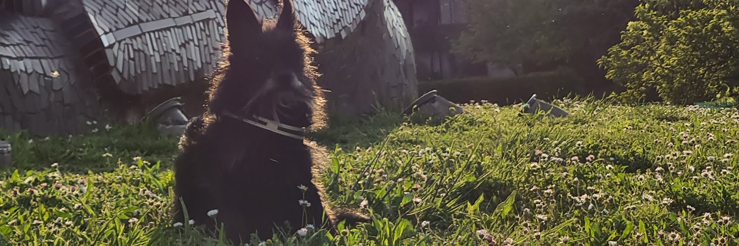 Donatella Malaguti banner