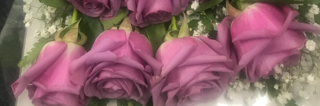 TERRAH4JEANS's profile banner image