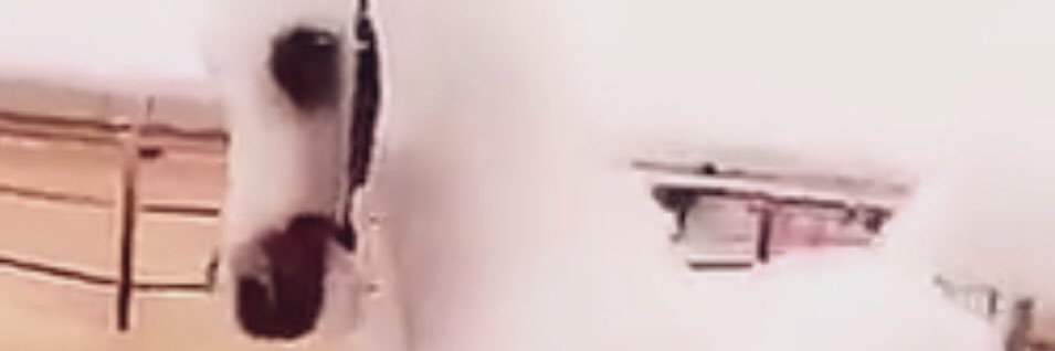 al_nader333's profile banner image