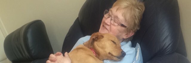 vickibonner's profile banner image