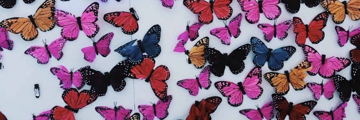 camille_crain's profile banner image