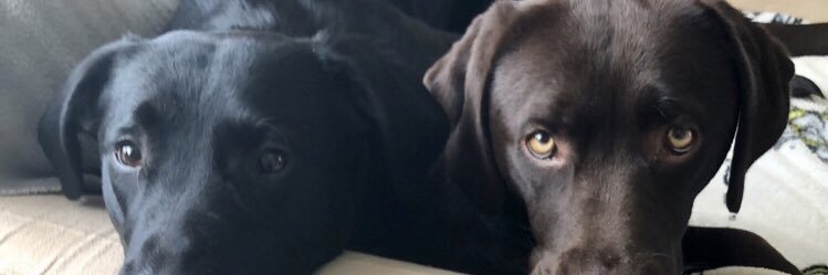 T_Mchale's profile banner image