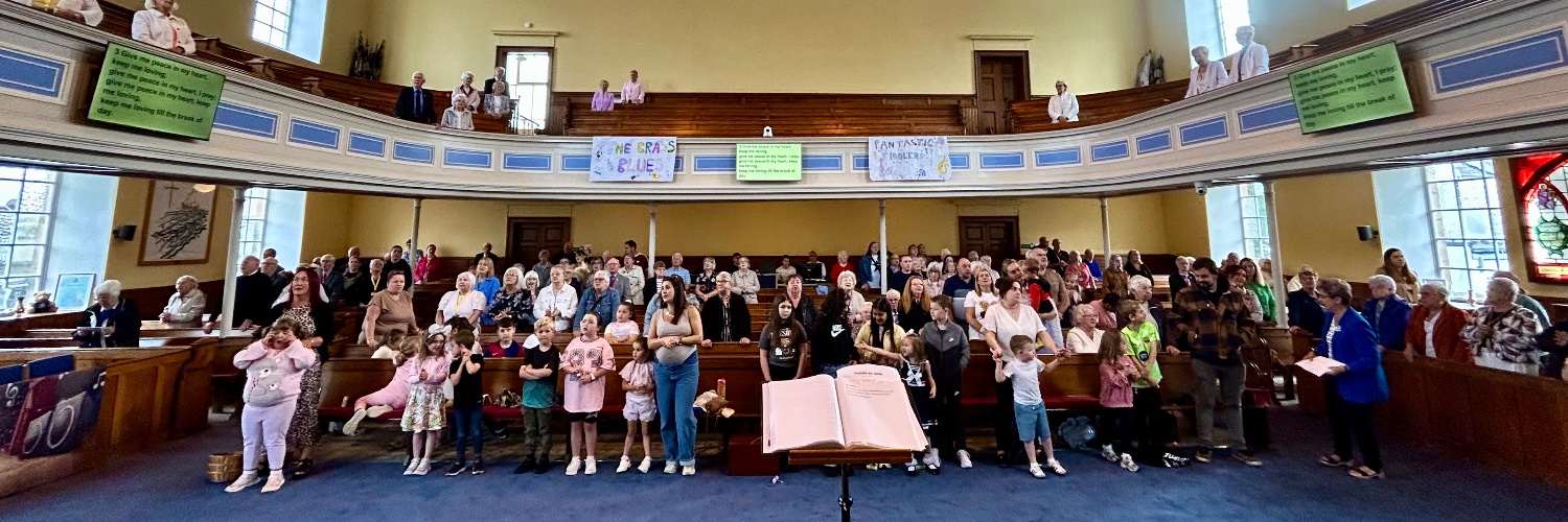 William Boyle banner