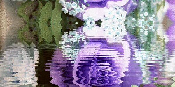 DhtCae's profile banner image