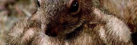 RobTK6445's profile banner image