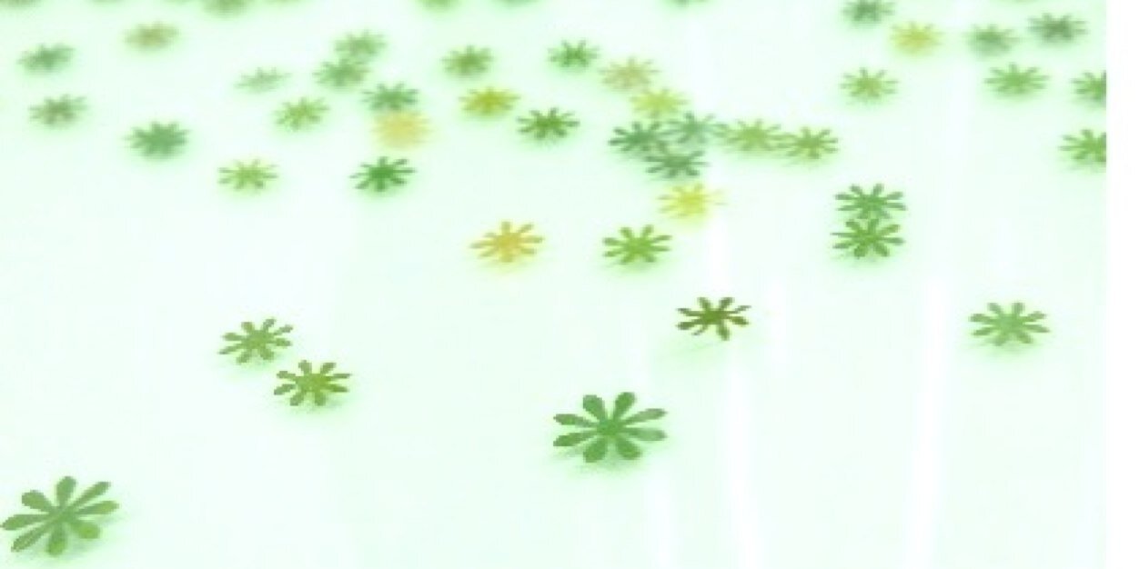 tablemei's profile banner image