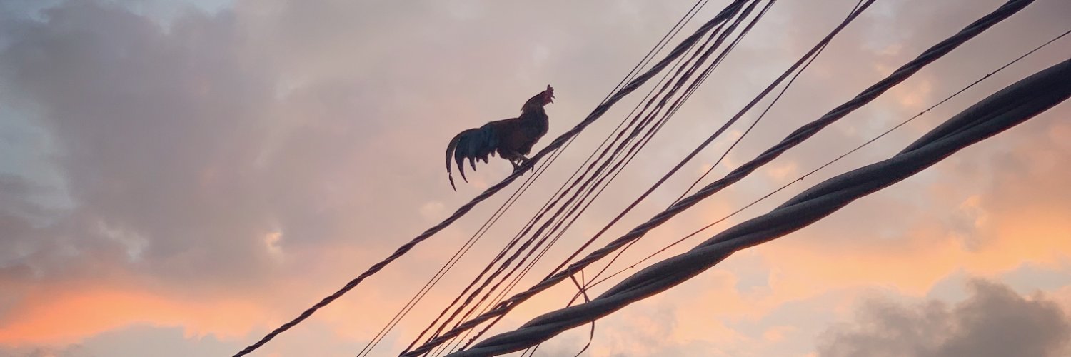 Helene Obrist banner