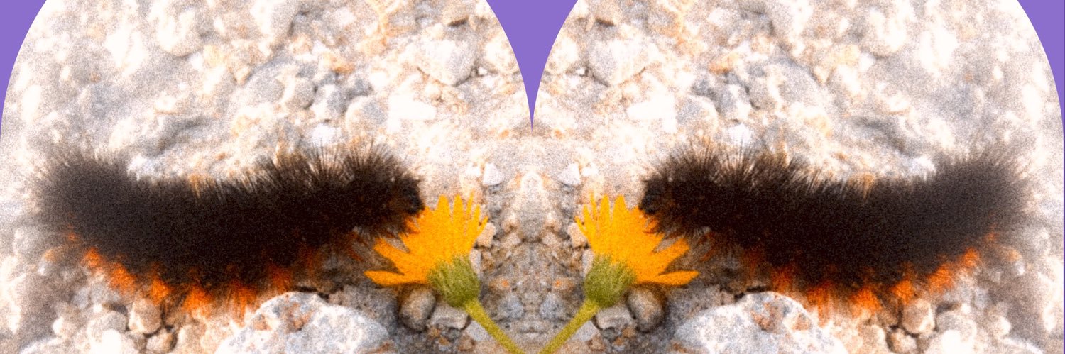 kayceecupcake's profile banner image