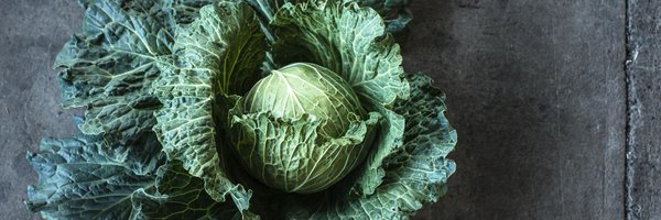 AgresticGrocer Profile Banner