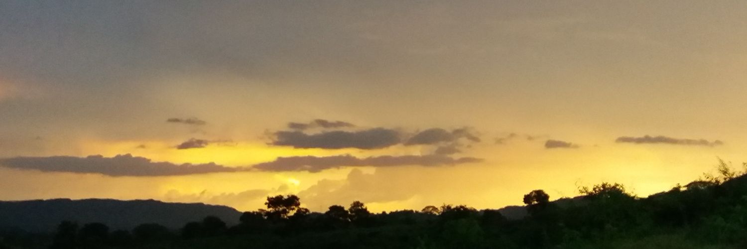 AlessaD31's profile banner image