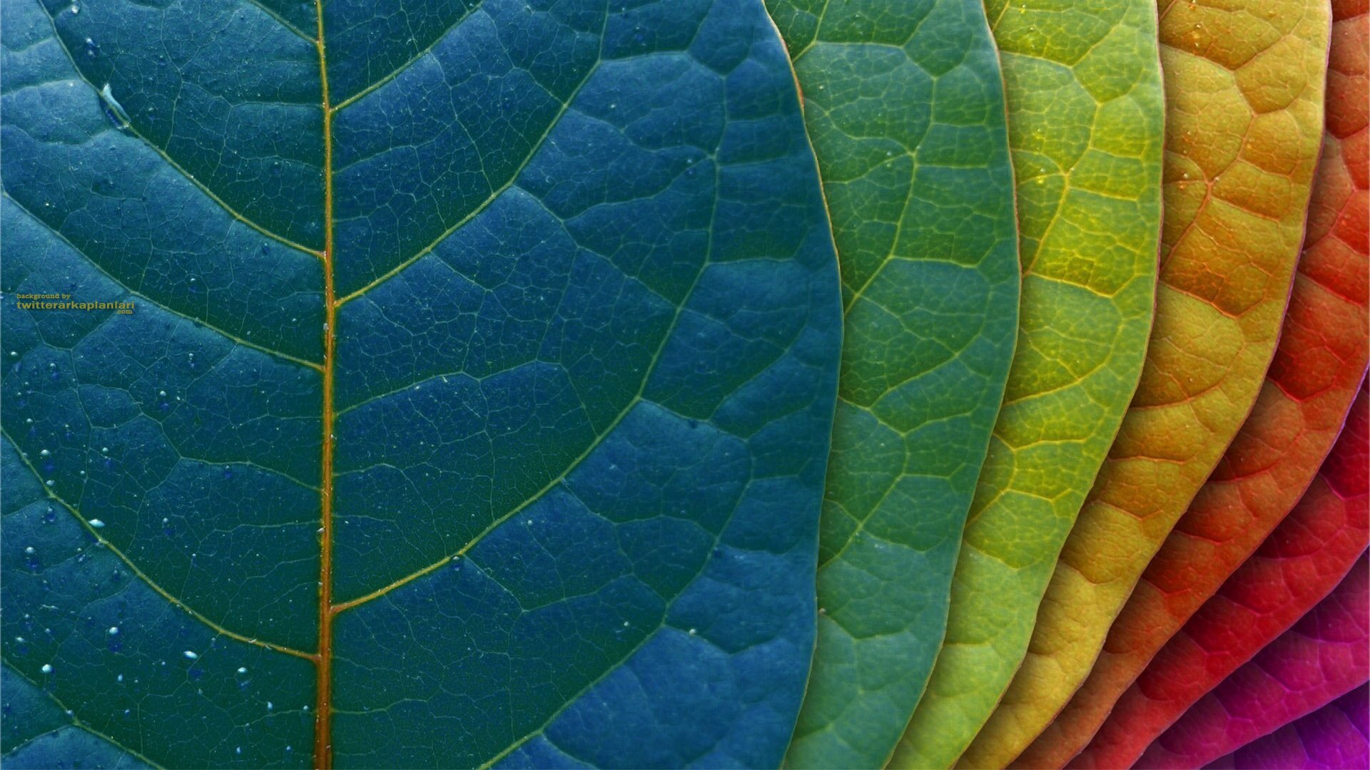 puchidevera205's profile banner image