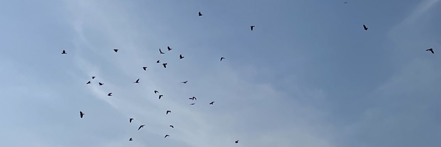 rachcsk's profile banner image