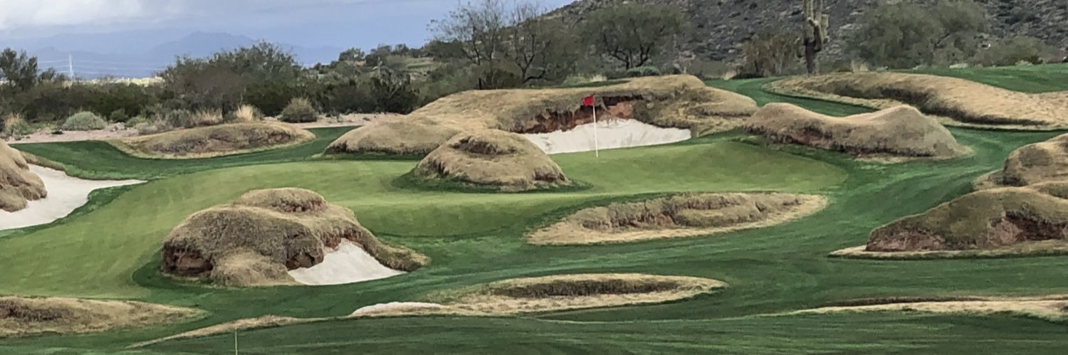 Blair McDowell banner