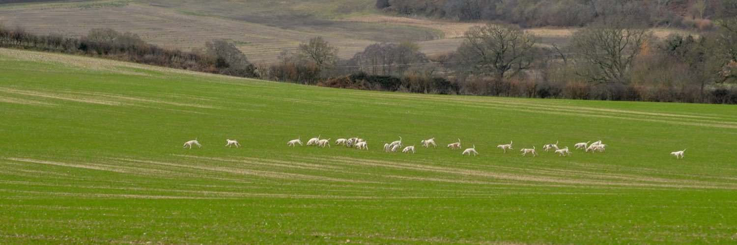 Lennys Countryside Photography banner
