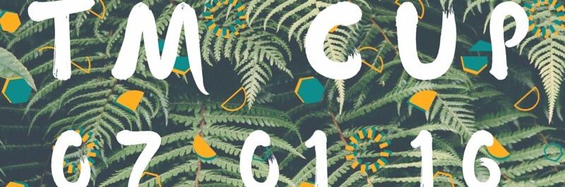 TMCup16's profile banner image