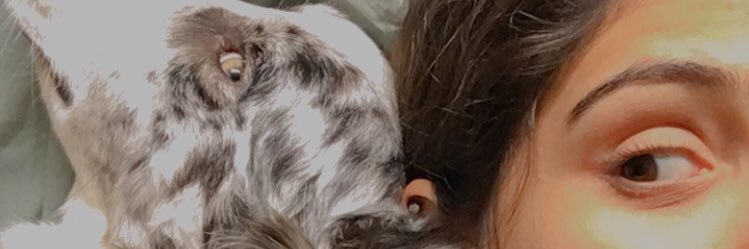 Anatomaas's profile banner image