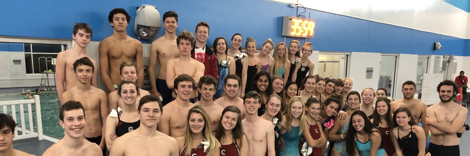 Cannonswimming banner